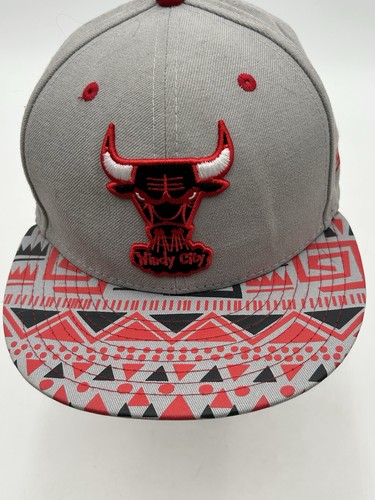 Chicago bulls windy city - chicago,